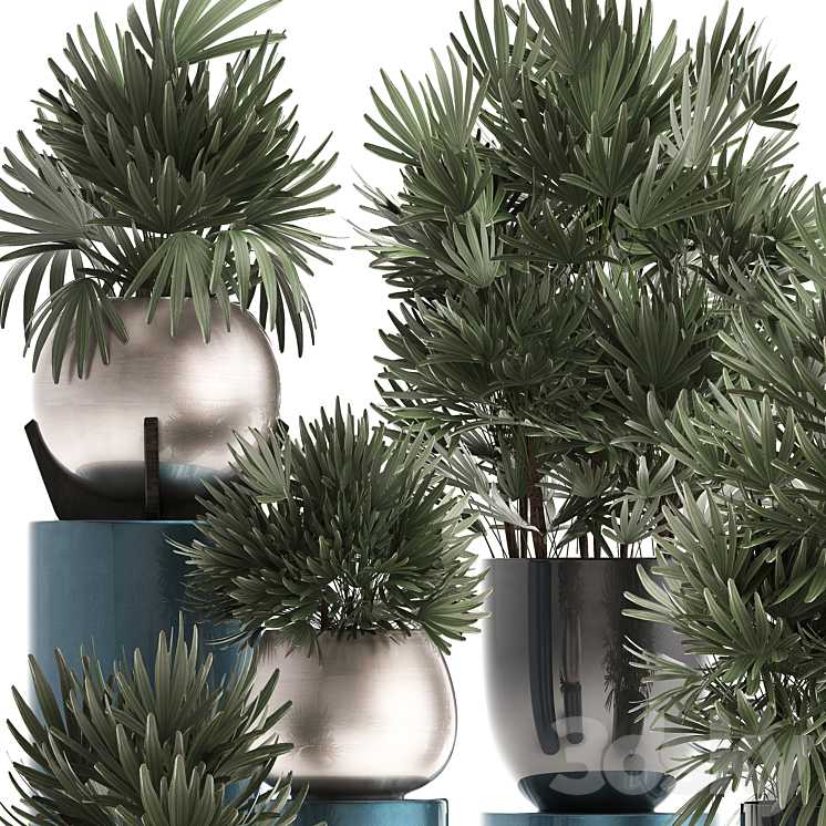 Plant collection 299. Interior palm tree rapis pot flowerpot luxury pot bushes thickets Raphis Palm stylish plants 3DS Max - thumbnail 2