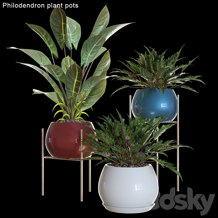 Philodendron plant pots # 2 3DS Max - thumbnail 1