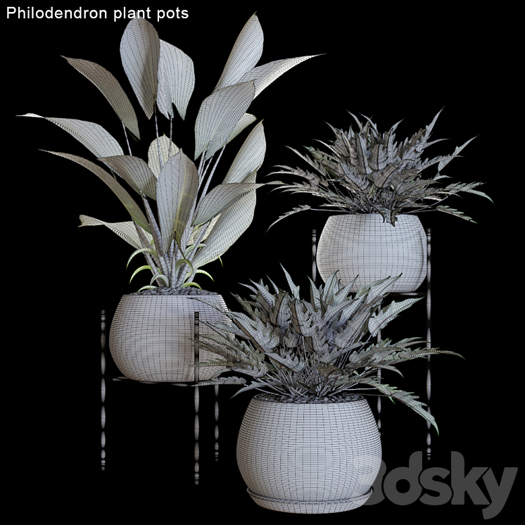 Philodendron plant pots # 2 3DS Max - thumbnail 2