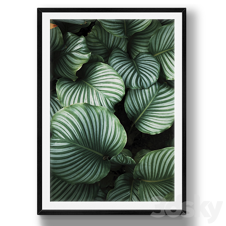 Tropical leaves | set 26 3D Model