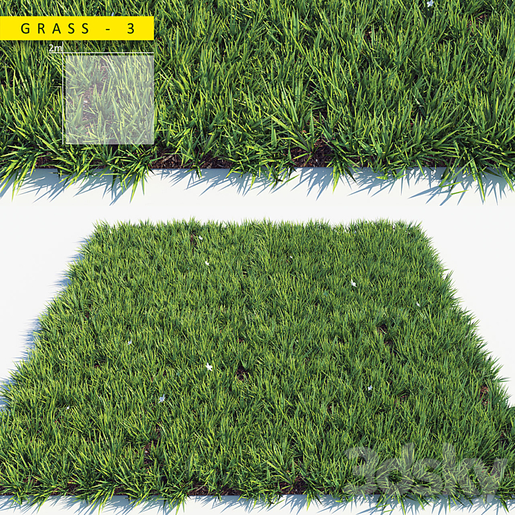 Grass 3 3D Model