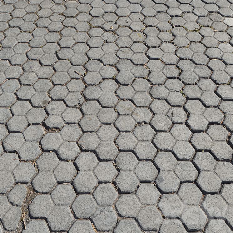 Pavement tiles_7