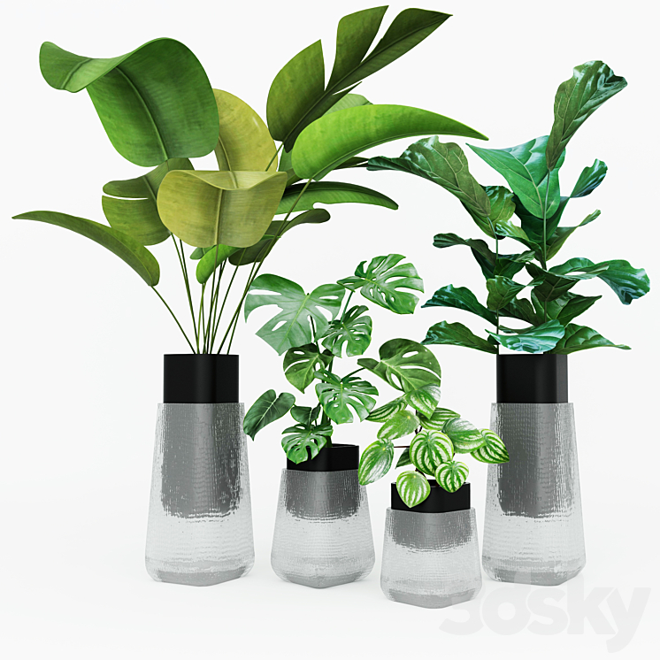 Plant collection 3DS Max - thumbnail 1