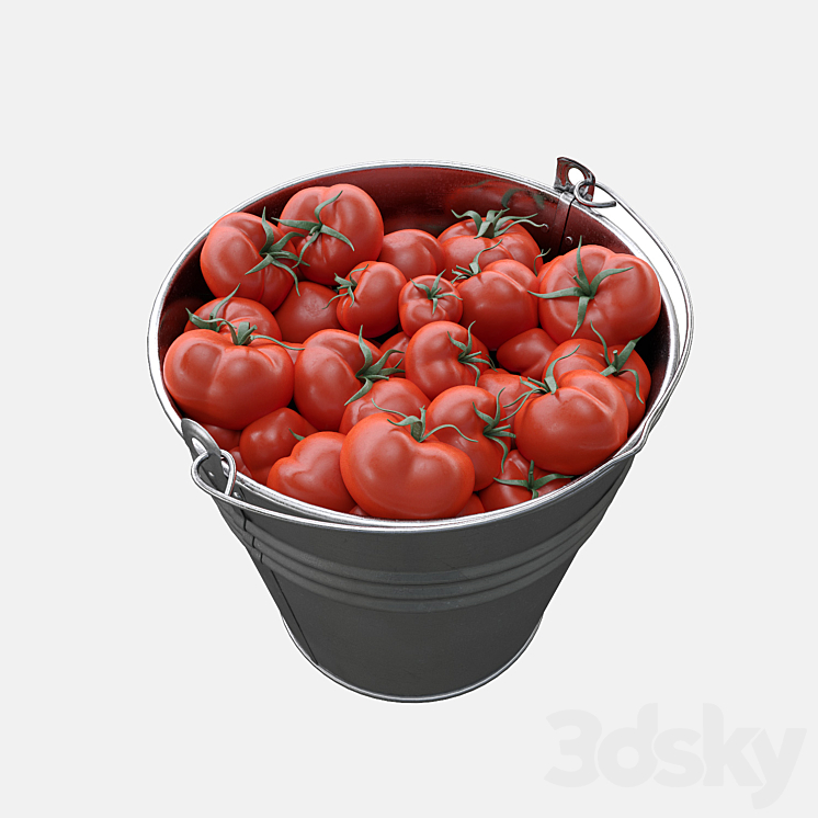 Bucket with tomatoes 3D Model