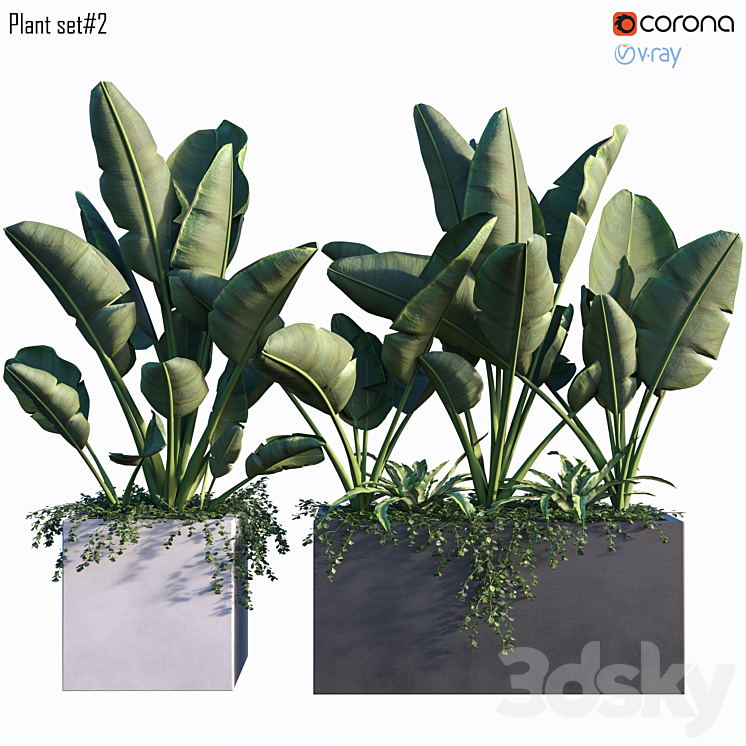 Plant set # 2 3DS Max - thumbnail 1