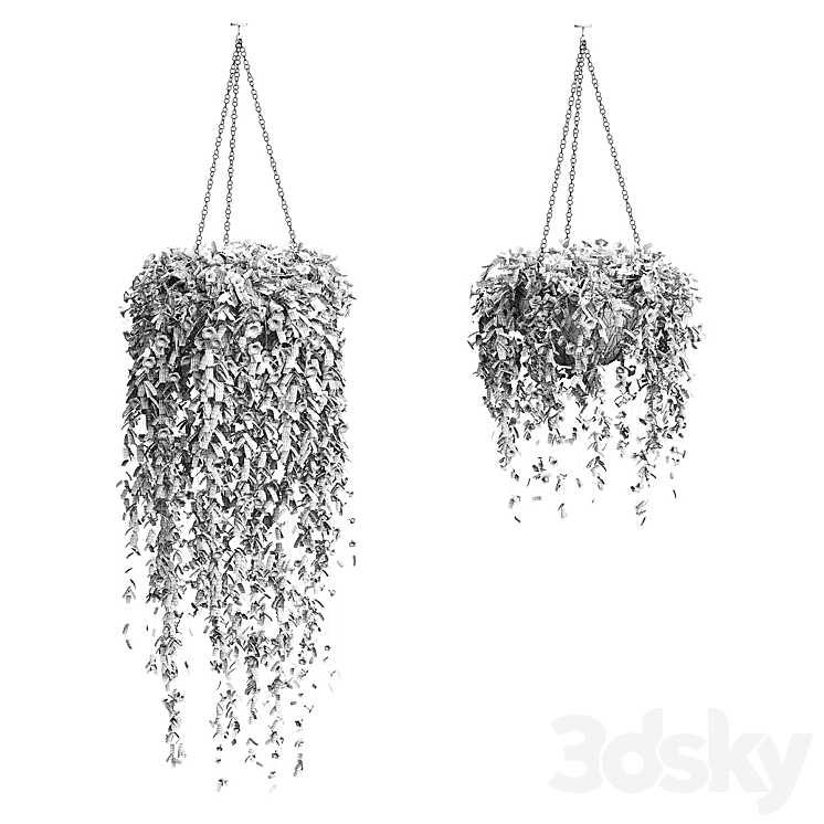 Petunia in hanging pots. 2 models 3D Model