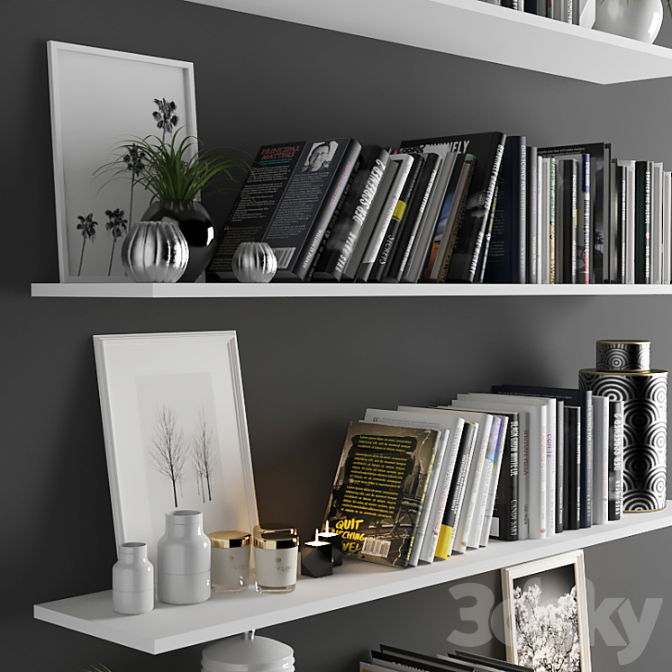 set1101 -book shelve 3D Model