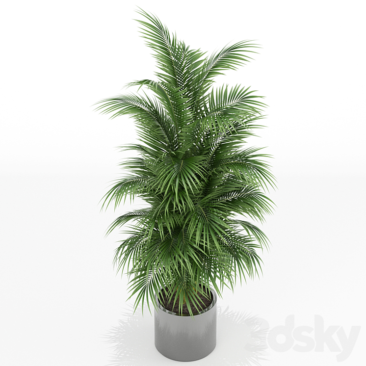 Plants collection 176 3D Model