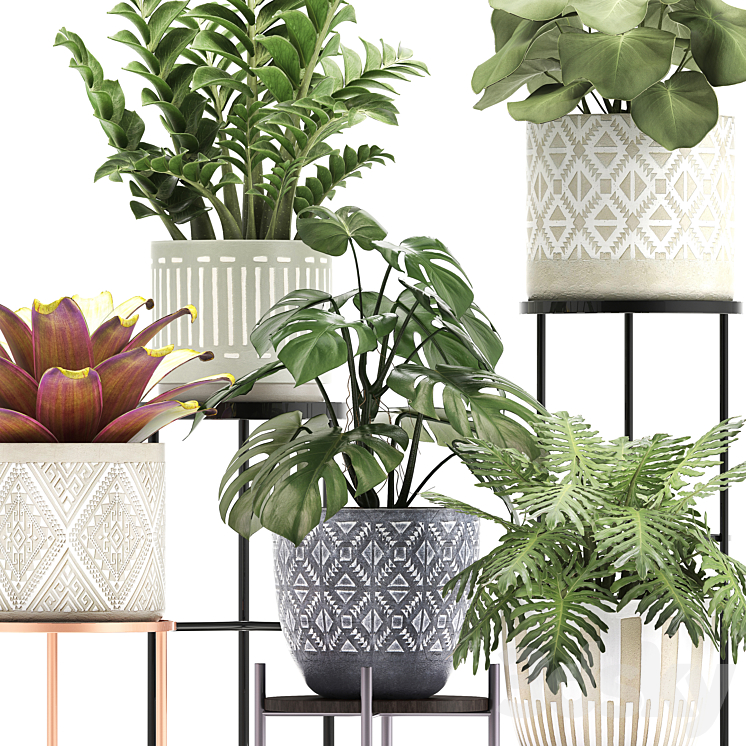 Collection of plants 333. Flower shelf stand Zamioculcas monstera Bromelia Philodendron houseplants stand Scandinavian style flower 3DS Max - thumbnail 2