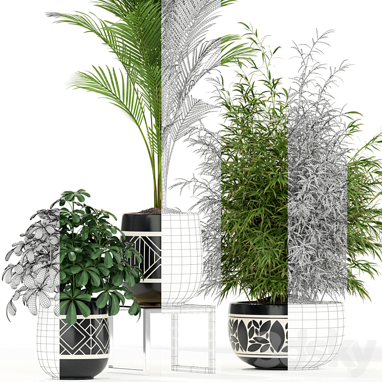 Plants collection 181 3DS Max - thumbnail 2