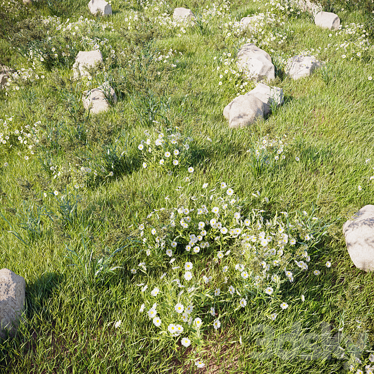 grass_for_landscaping_set02 3D Model