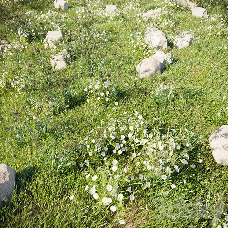 grass_for_landscaping_set02 3DS Max - thumbnail 2