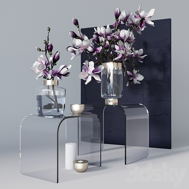 Decorative set with magnolia 3DS Max - thumbnail 1