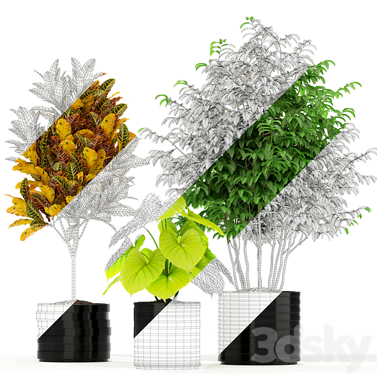 Plants collection 183 3DS Max - thumbnail 2
