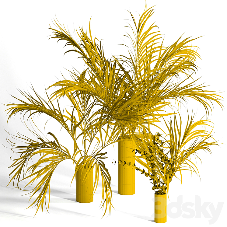 Dry palm leaves in vases 3D Model