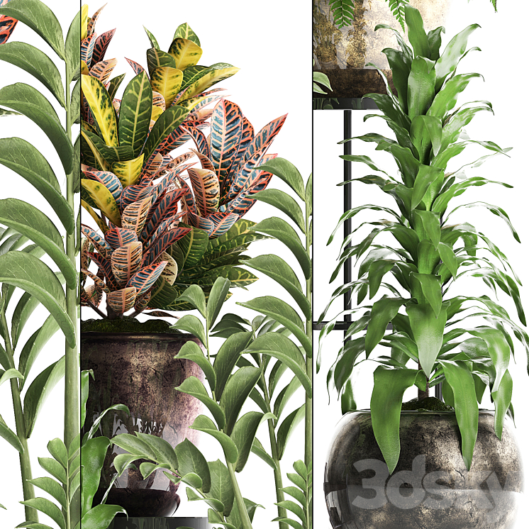 Plant Collection 362. luxury flowerpot croton fern Zamioculcas indoor plants luxury flowerpot flower stand interior 3D Model