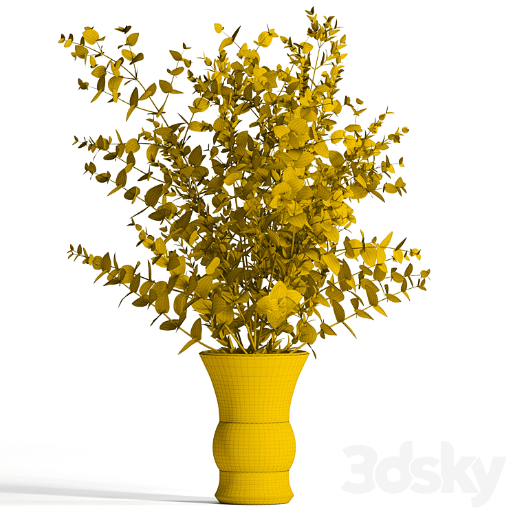 Bouquet of 2 types of eucalyptus 3D Model
