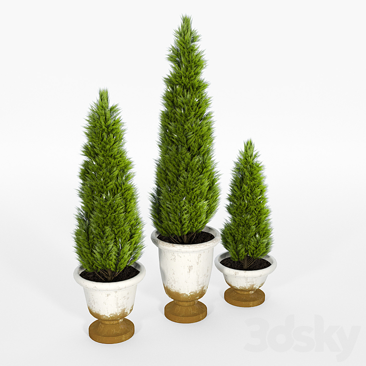 Tuscan planters 3D Model