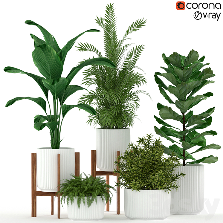 Plants collection 194 3DS Max - thumbnail 1