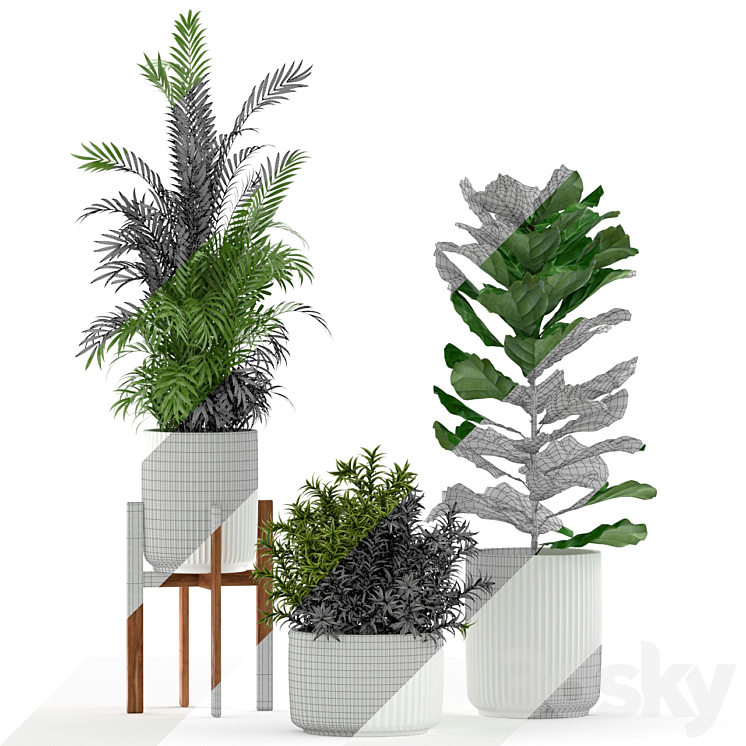 Plants collection 194 3DS Max - thumbnail 2