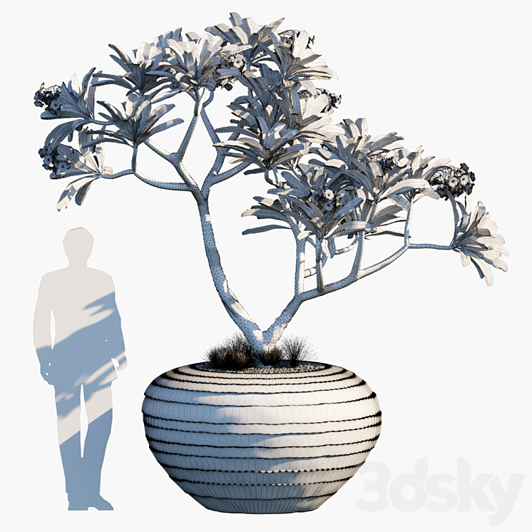 Plant in pots # 26 3DS Max - thumbnail 2