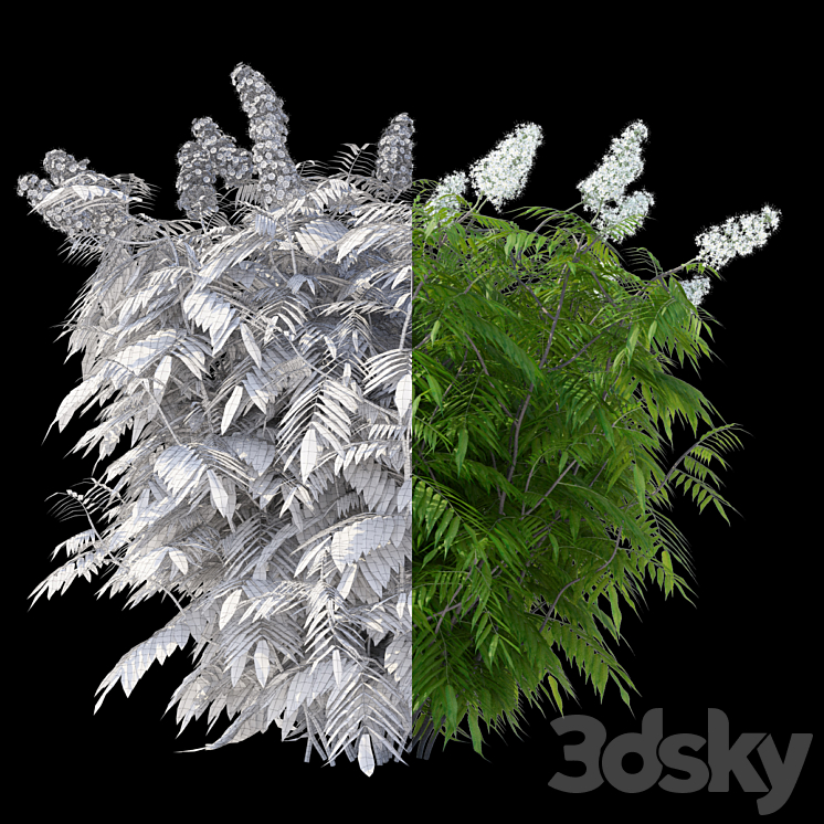 Fieldfare mountain ash 3 bushes | Sorbaria sorbifolia v2 3DS Max - thumbnail 2