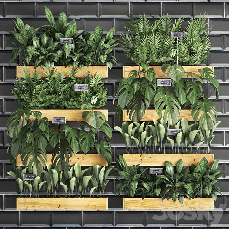 Vertical gardening. 40. Shelf with flowers monstera areca palm tree indoor plants black tiles phytowall phytomodule eco design vertical garden 3DS Max - thumbnail 1