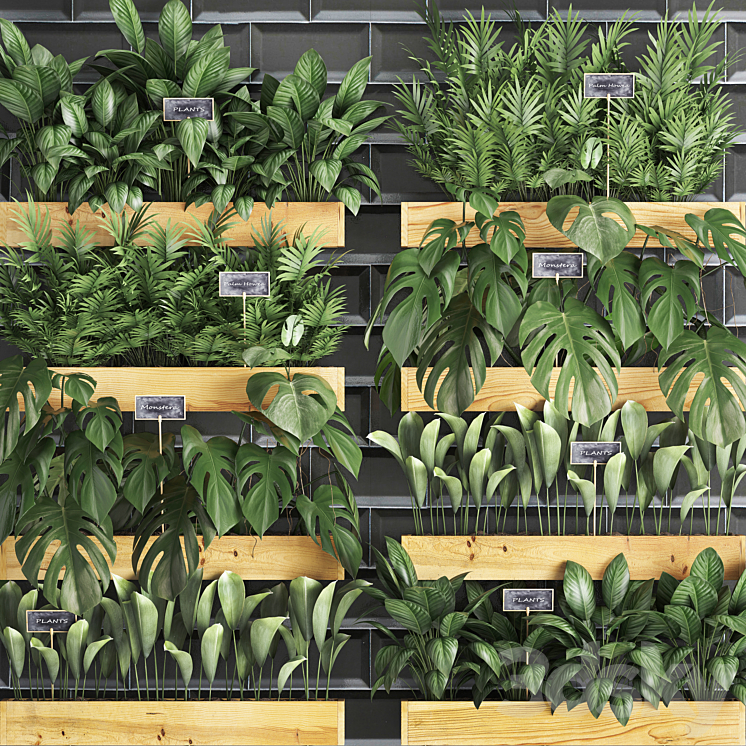 Vertical gardening. 40. Shelf with flowers monstera areca palm tree indoor plants black tiles phytowall phytomodule eco design vertical garden 3DS Max - thumbnail 2