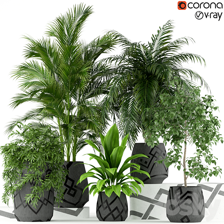 Plants collection 195 3DS Max - thumbnail 1