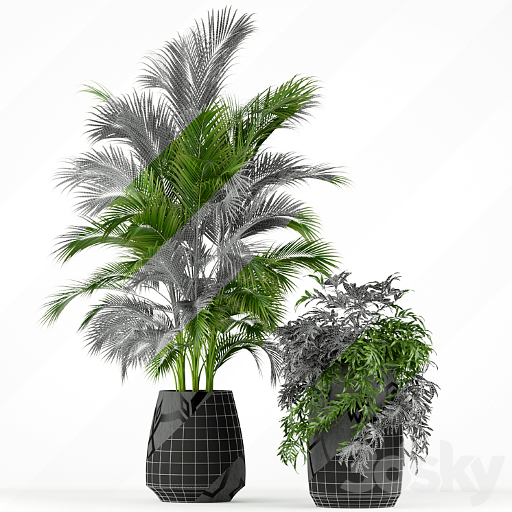 Plants collection 195 3DS Max - thumbnail 2