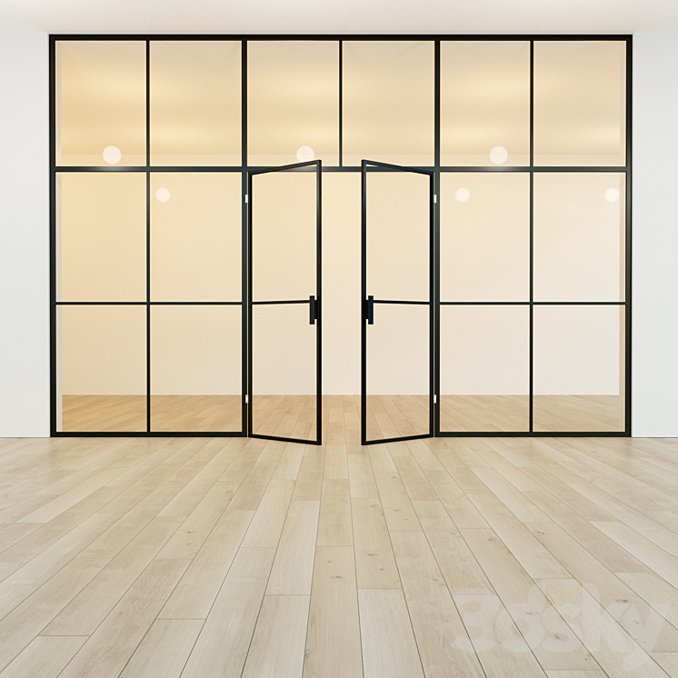 Glass partition. Door. 41 3D Model