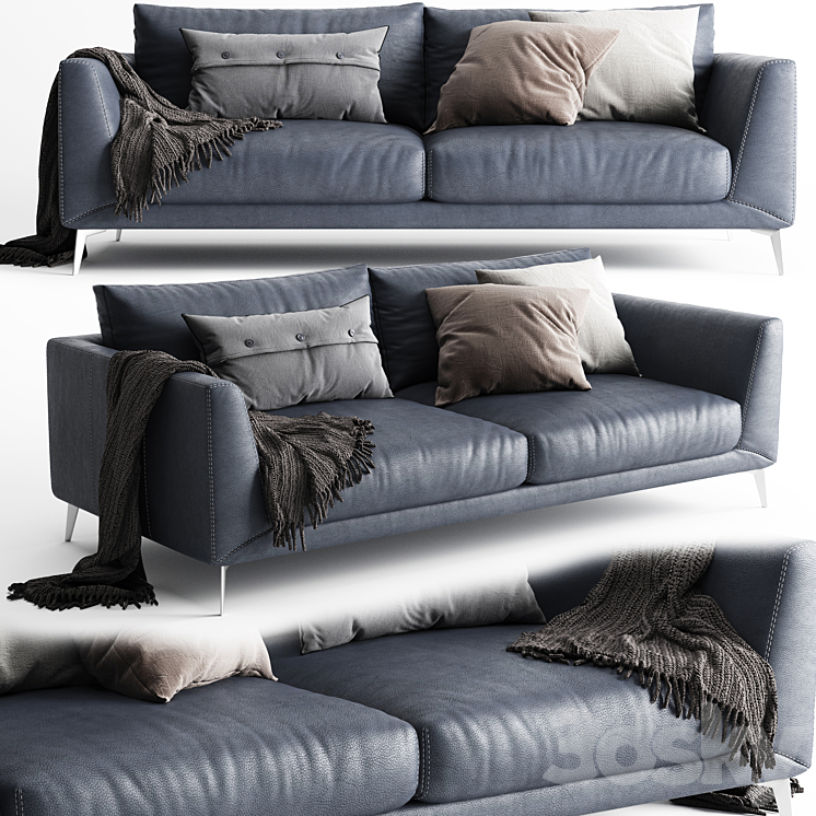 BoConcept Fargo Sofa 2 Seats 3D Model