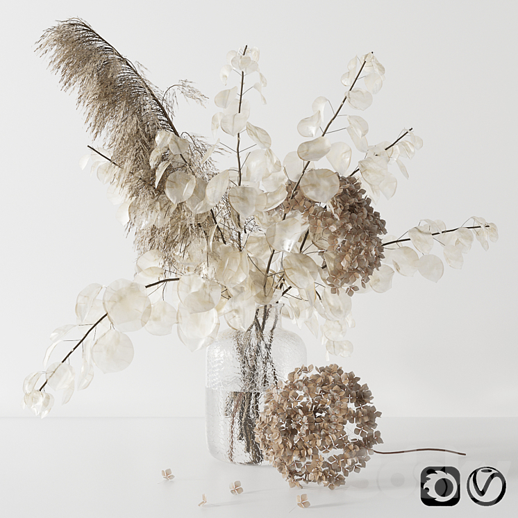 Bouquet with lunaria pampas grass and hydragea 3DS Max - thumbnail 1