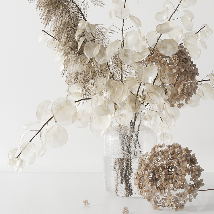 Bouquet with lunaria pampas grass and hydragea 3DS Max - thumbnail 2