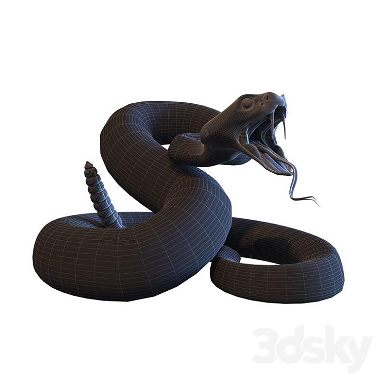 Rattlesnake 3D Model Free