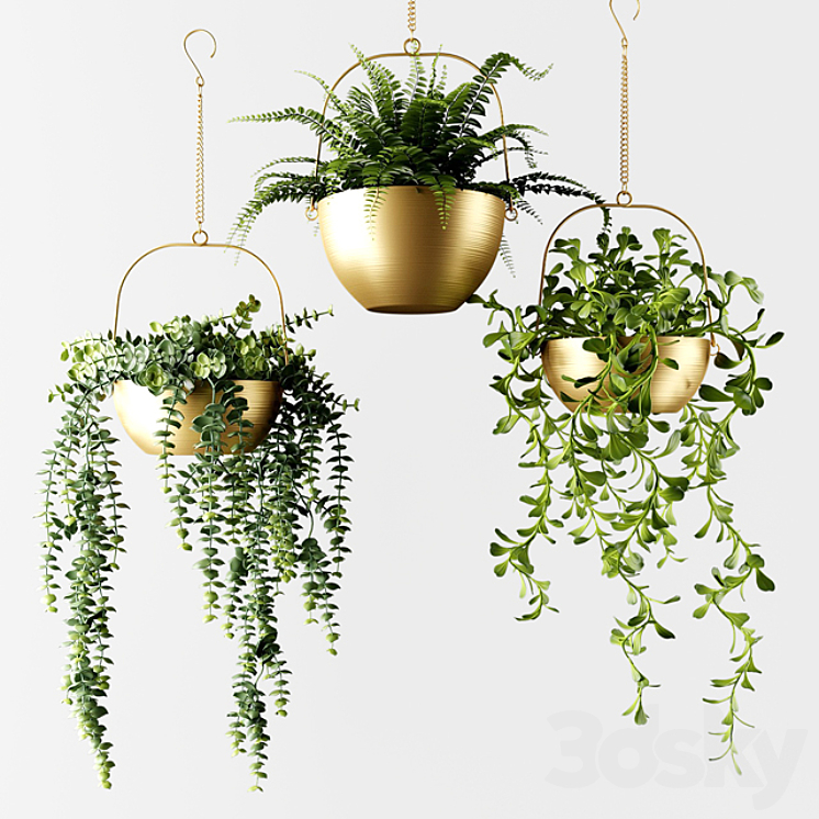 Ampel plants in bronze flower pots | Ampel plants in bronze flower pots 3DS Max - thumbnail 2