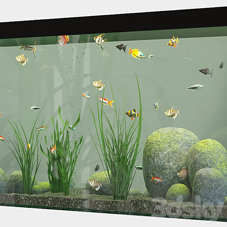Aquarium set 3D Model