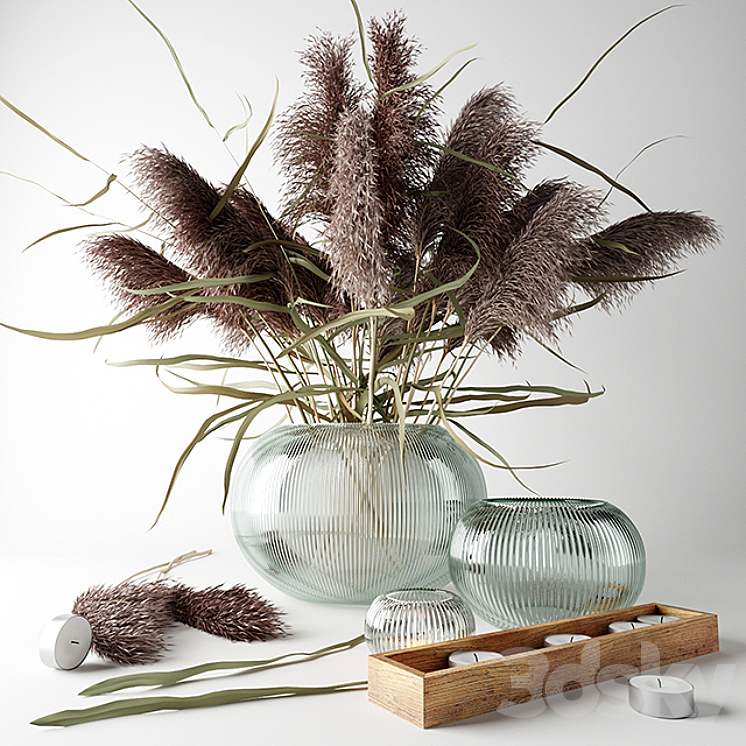 Bouquet of dry grass in a glass vase 3DS Max - thumbnail 1