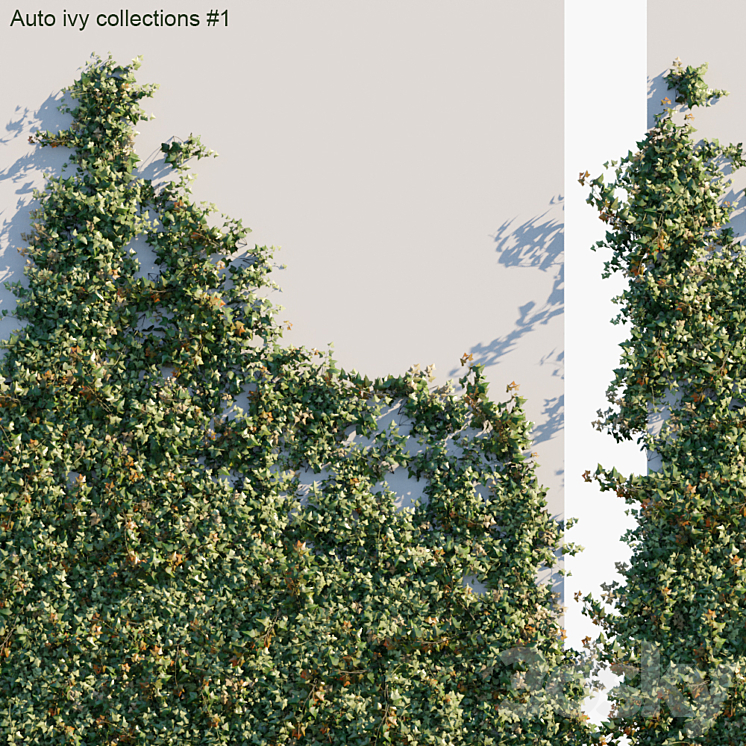 Auto ivy collections # 1 3DS Max - thumbnail 2