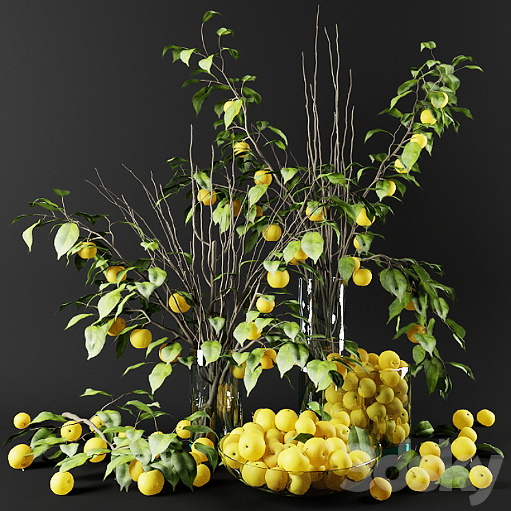 Bouquet of Chinese apple tree branches with yellow apples 3D Model