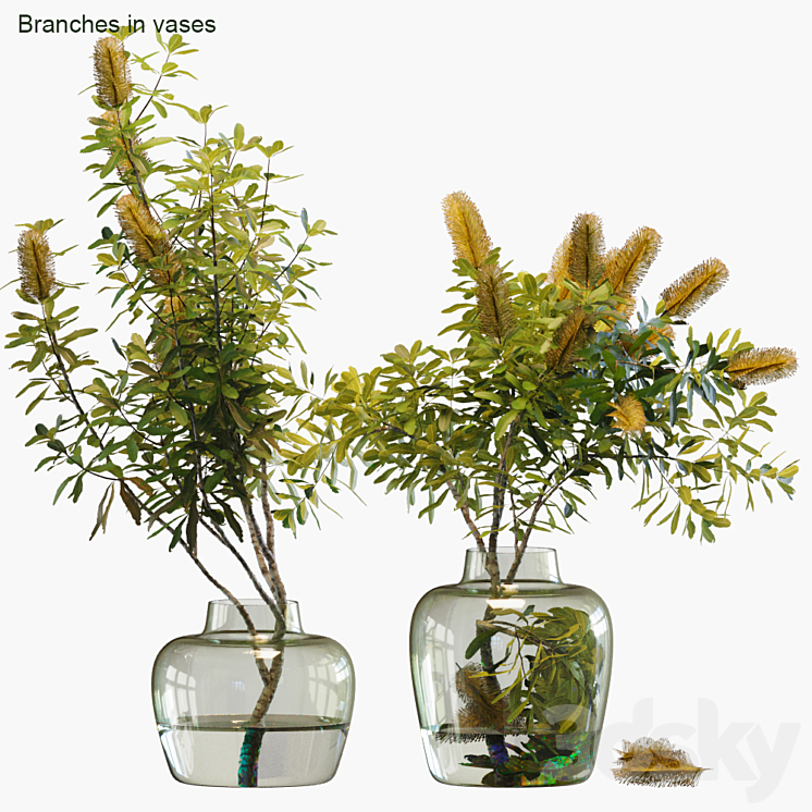 Branches in vases # 28: Banksia 3DS Max - thumbnail 1
