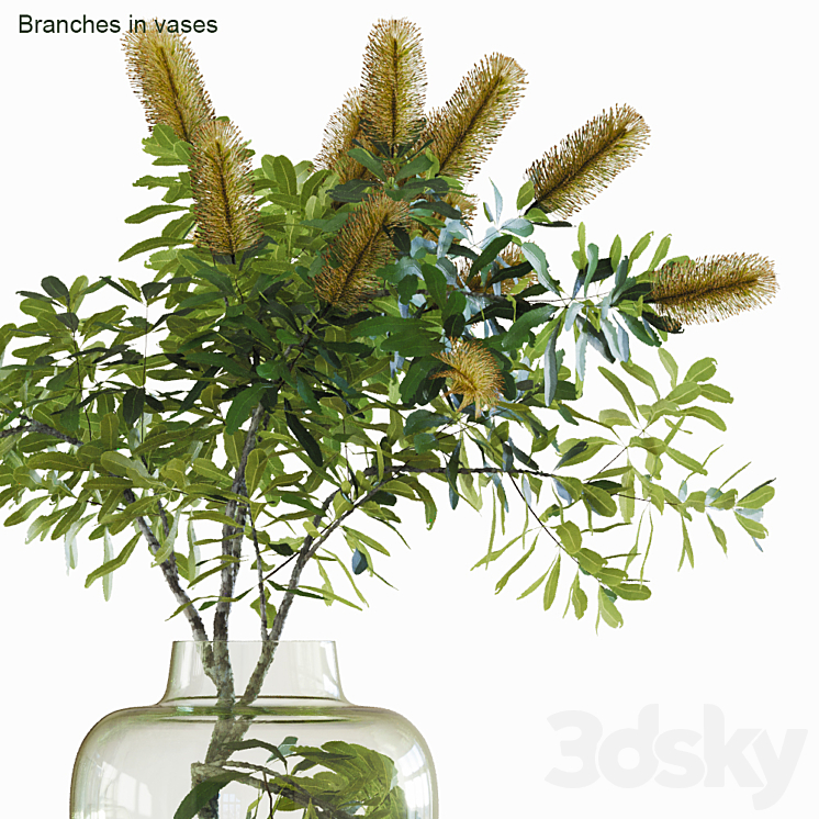 Branches in vases # 28: Banksia 3DS Max - thumbnail 2