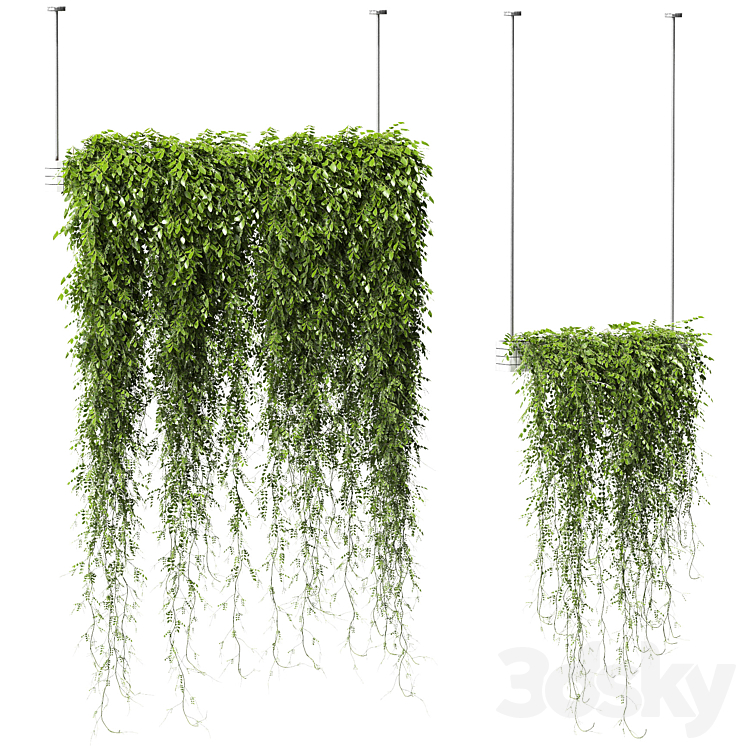 Plants in Hanging Planters v2. 2 models 3DS Max - thumbnail 1