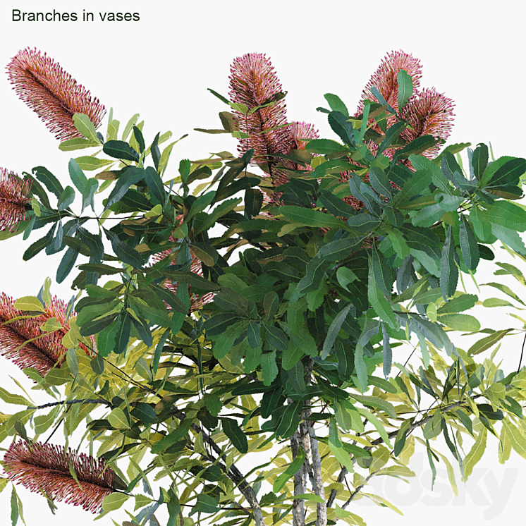 Branches in vases 31 3DS Max Model - thumbnail 2