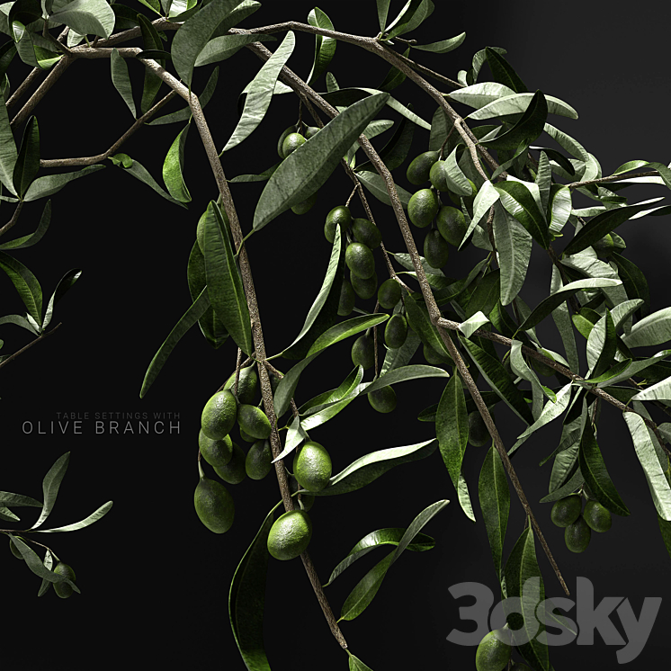 Table settings with olive branch 3D Model
