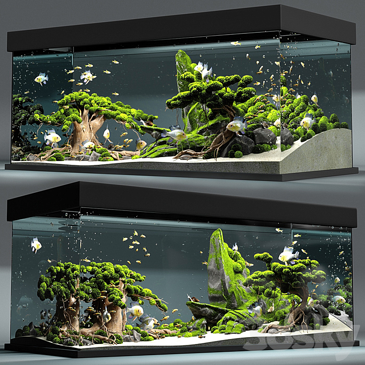 Aquarium snail king 3DS Max - thumbnail 2