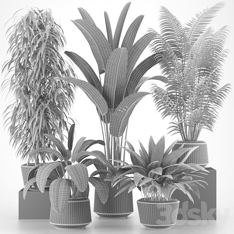 Plants collection 05 3DS Max - thumbnail 2