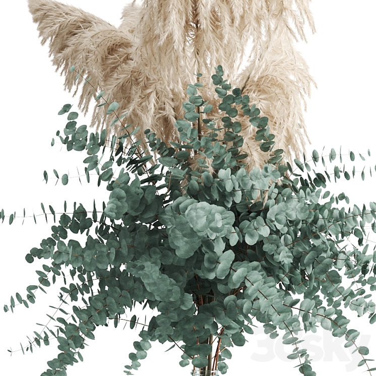 Cortaderia and eucalyptus in a large bottle 3D Model