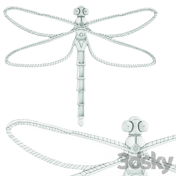 Wall Decoration Dragonfly Mirror 3D Model