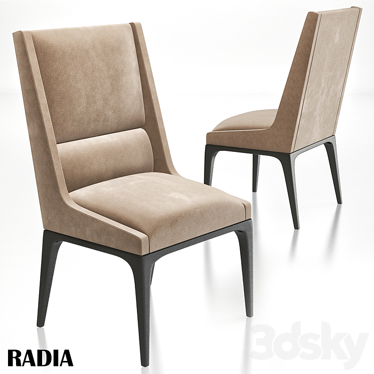 AXIS – radia dining chair 3DS Max - thumbnail 1